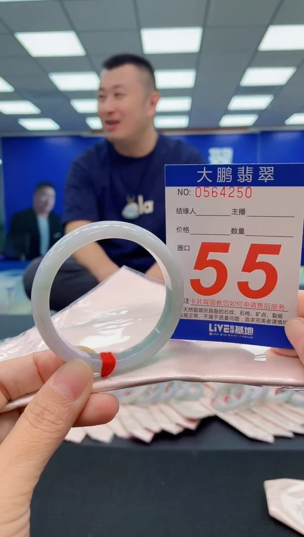 未镶嵌手镯翡翠AAAAAAAAA