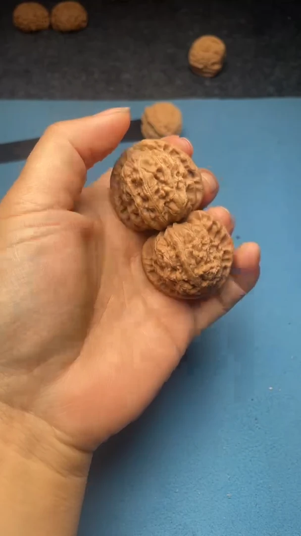 桃核把件w187  白狮子 37尺