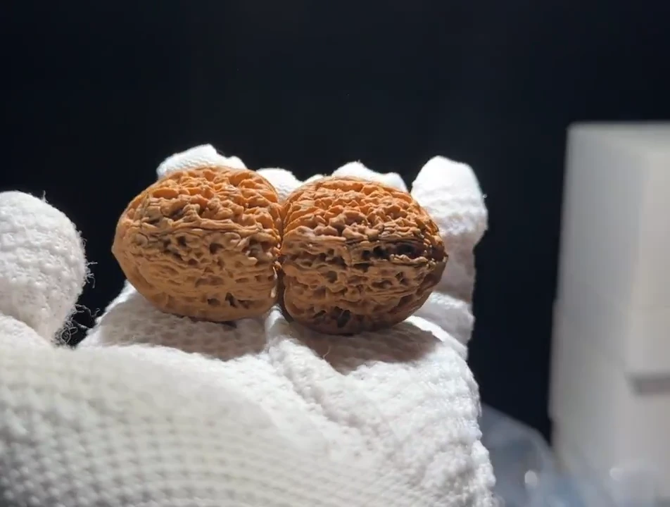 吊坠文玩核桃柠****糖全品 南疆