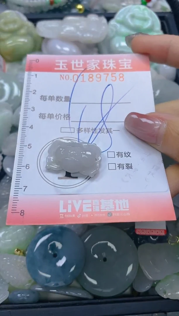 【闪购商品】翡翠颈饰未镶嵌闪购0189758