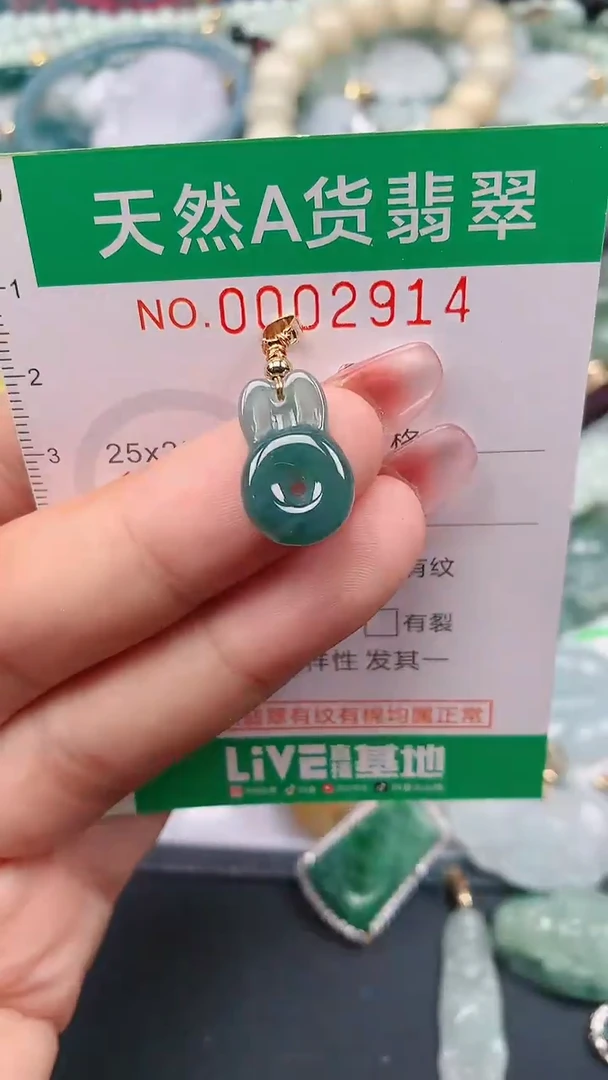 颈饰未镶嵌翡翠.0002914