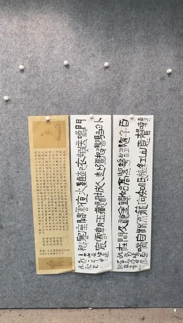 【闪购商品】书法pmw不二轩旗舰店书法SSC25