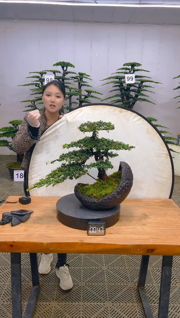 无花朵一物一拍一物一拍