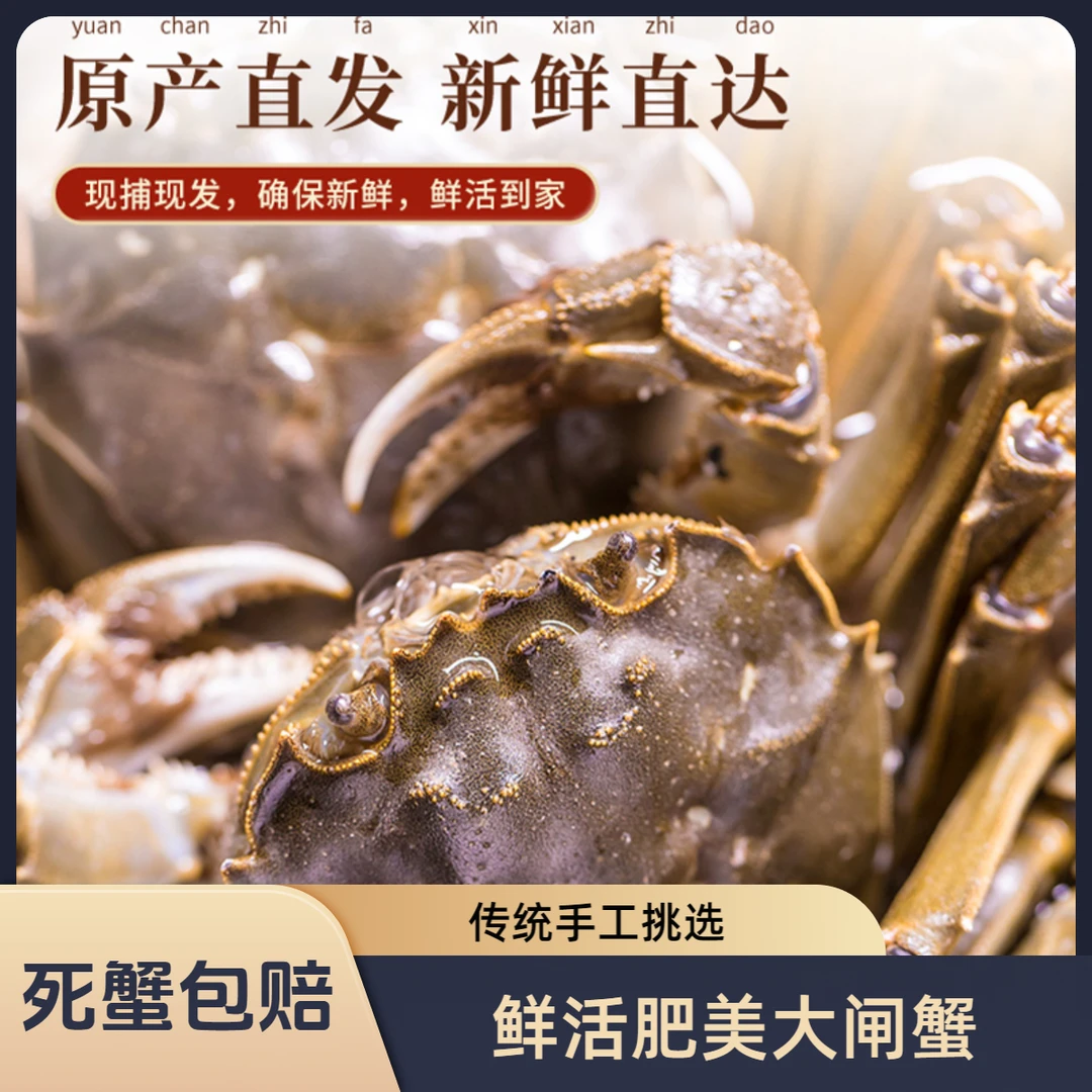 1号活蟹臻选大闸蟹母蟹8只2两母蟹顺丰包邮死蟹包赔精品蟹
