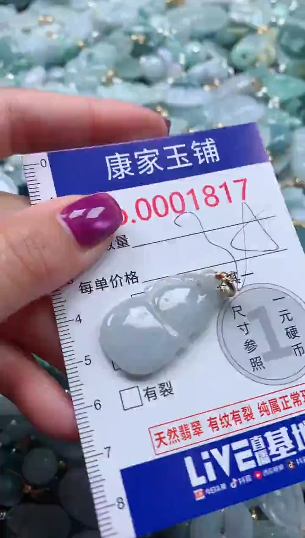 颈饰未镶嵌翡翠1837