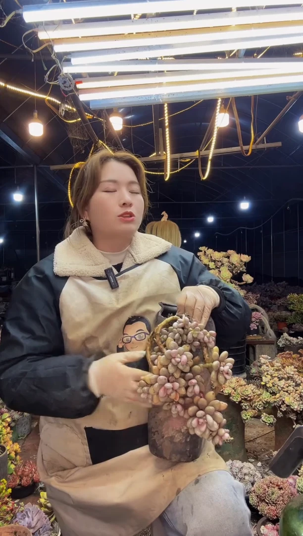 【闪购商品】脱土桃蛋包邮