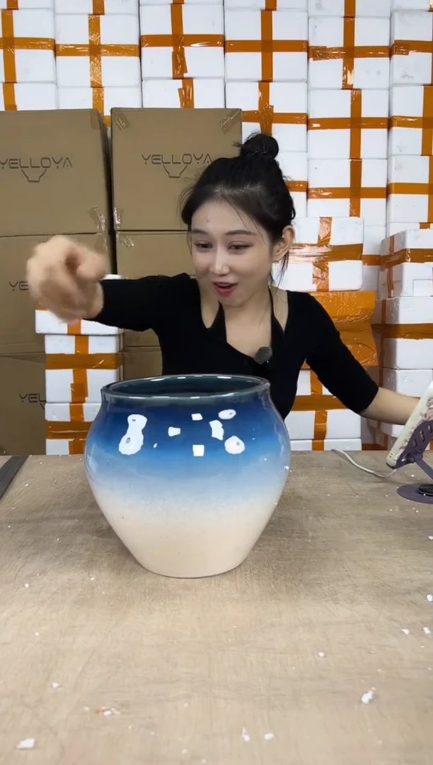 花盆花盆中号12.22--8