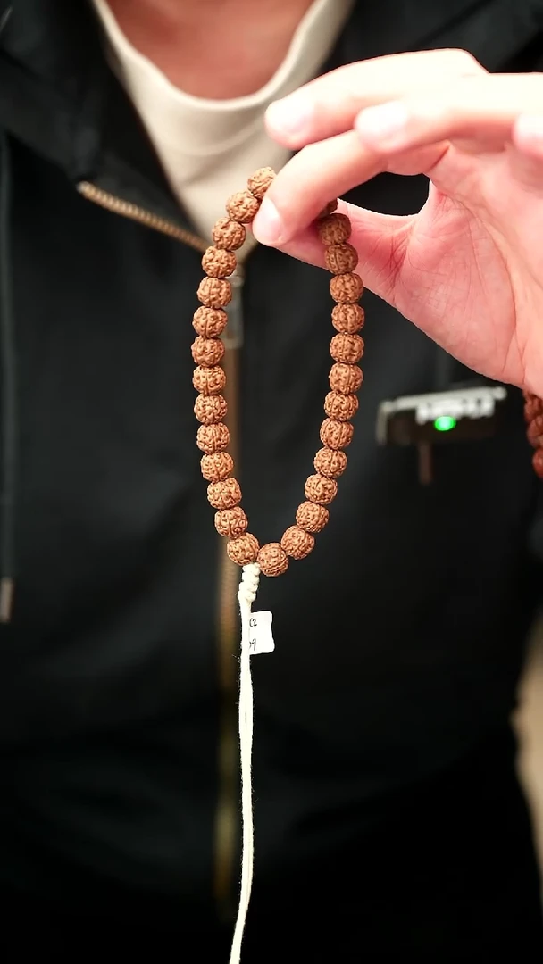 手串金刚菩提10mm葛地里产区原桩盘龙纹单圈无工具