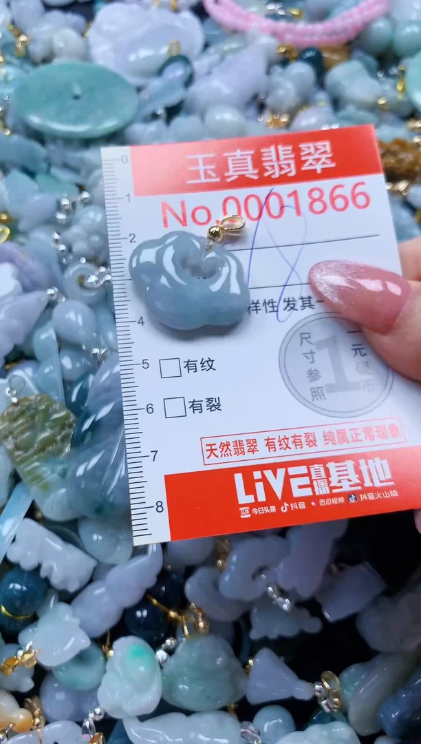 翡翠未镶嵌吊坠(不含链)1866