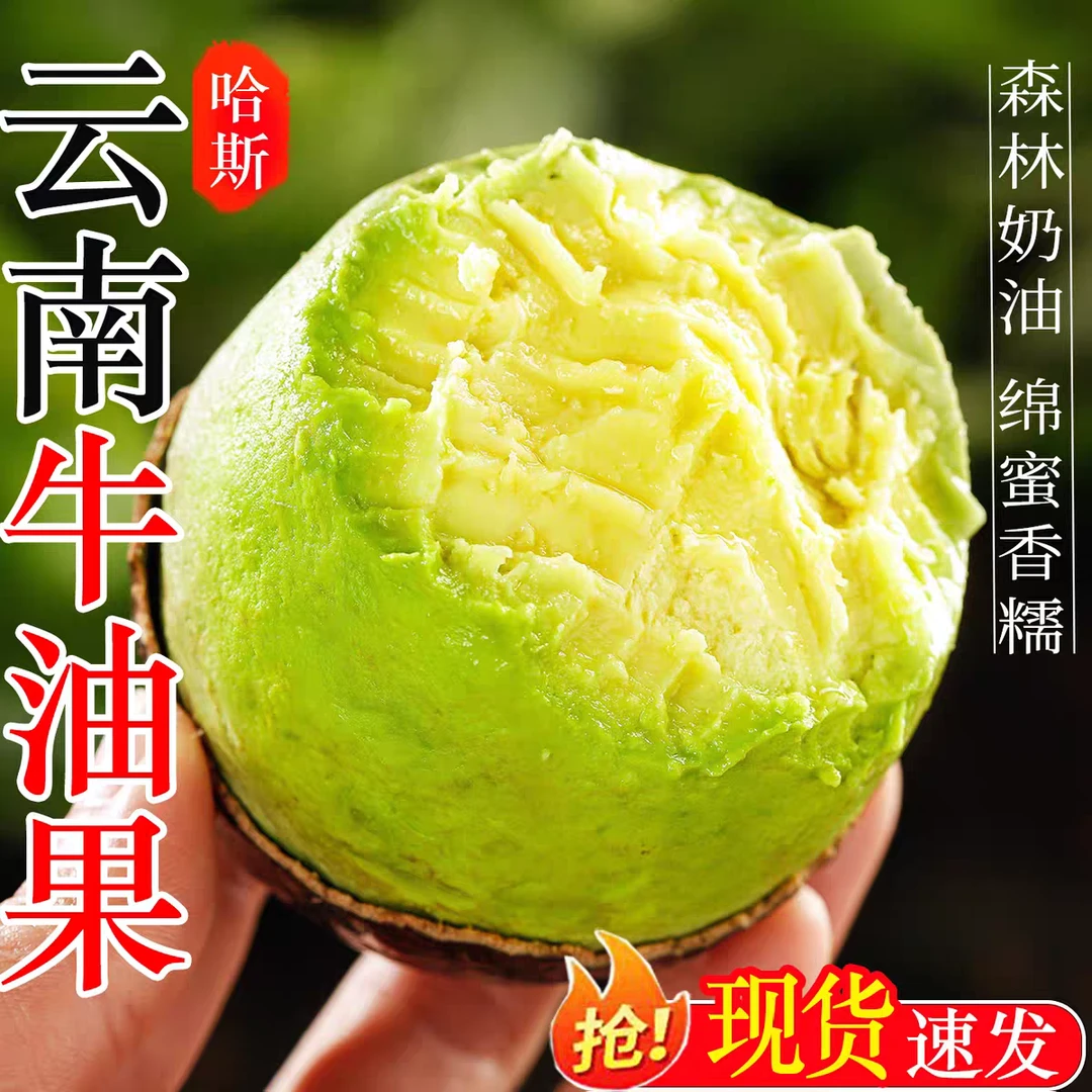 云南国产哈斯牛油果新鲜当季鳄梨森林奶油宝宝辅食新鲜水果[O]