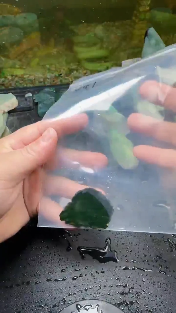 【闪购商品】翡翠颈饰未镶嵌041天然翡翠