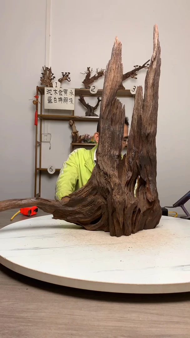 未**数鱼缸造景沉木摆件