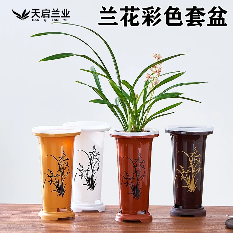 天启兰业彩色6寸同心兰花套盆春蕙建寒莲瓣兰塑料正宗兰花专用盆