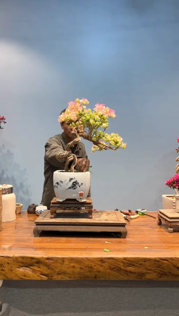 【闪购商品】aa903