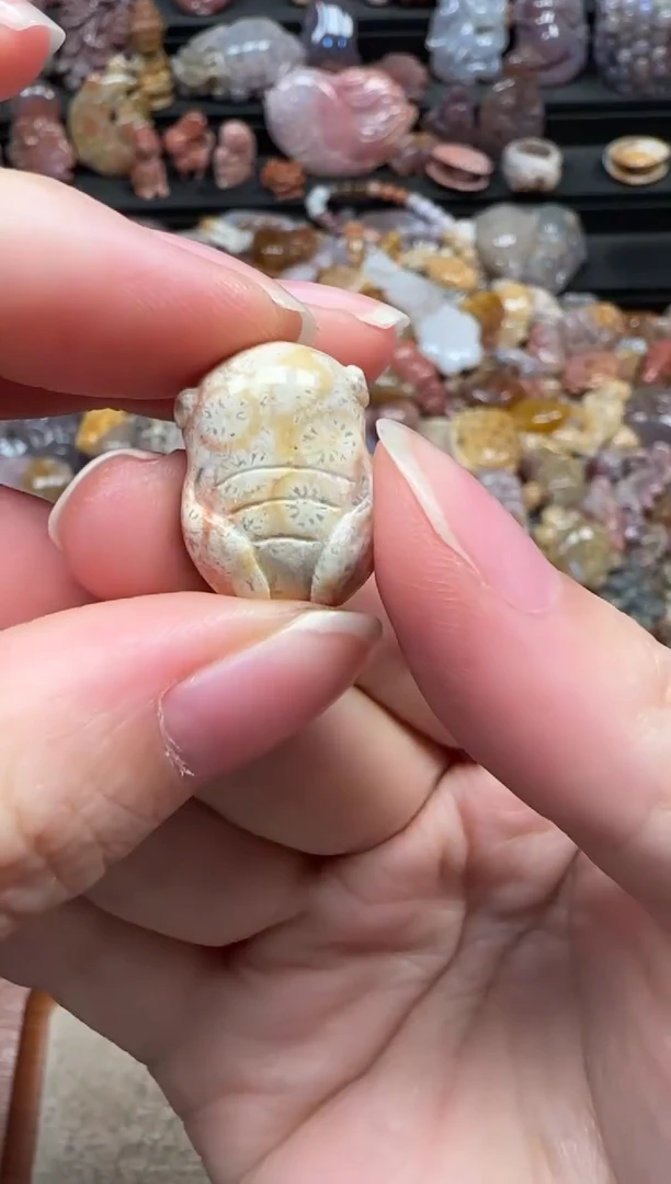 颈饰未镶嵌硅化珊瑚（珊瑚玉）685