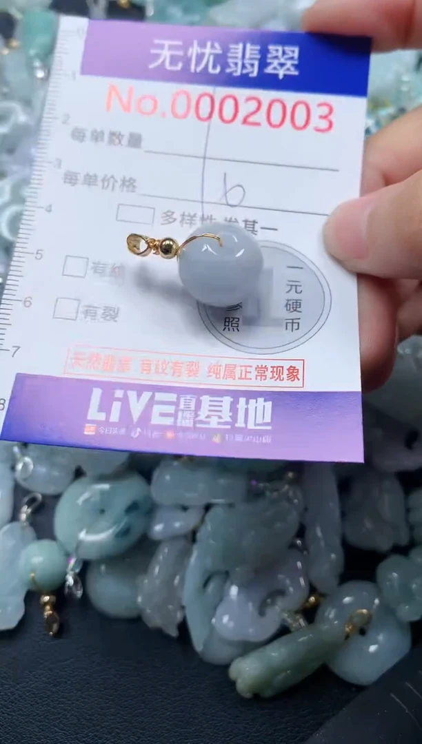 颈饰未镶嵌翡翠2003