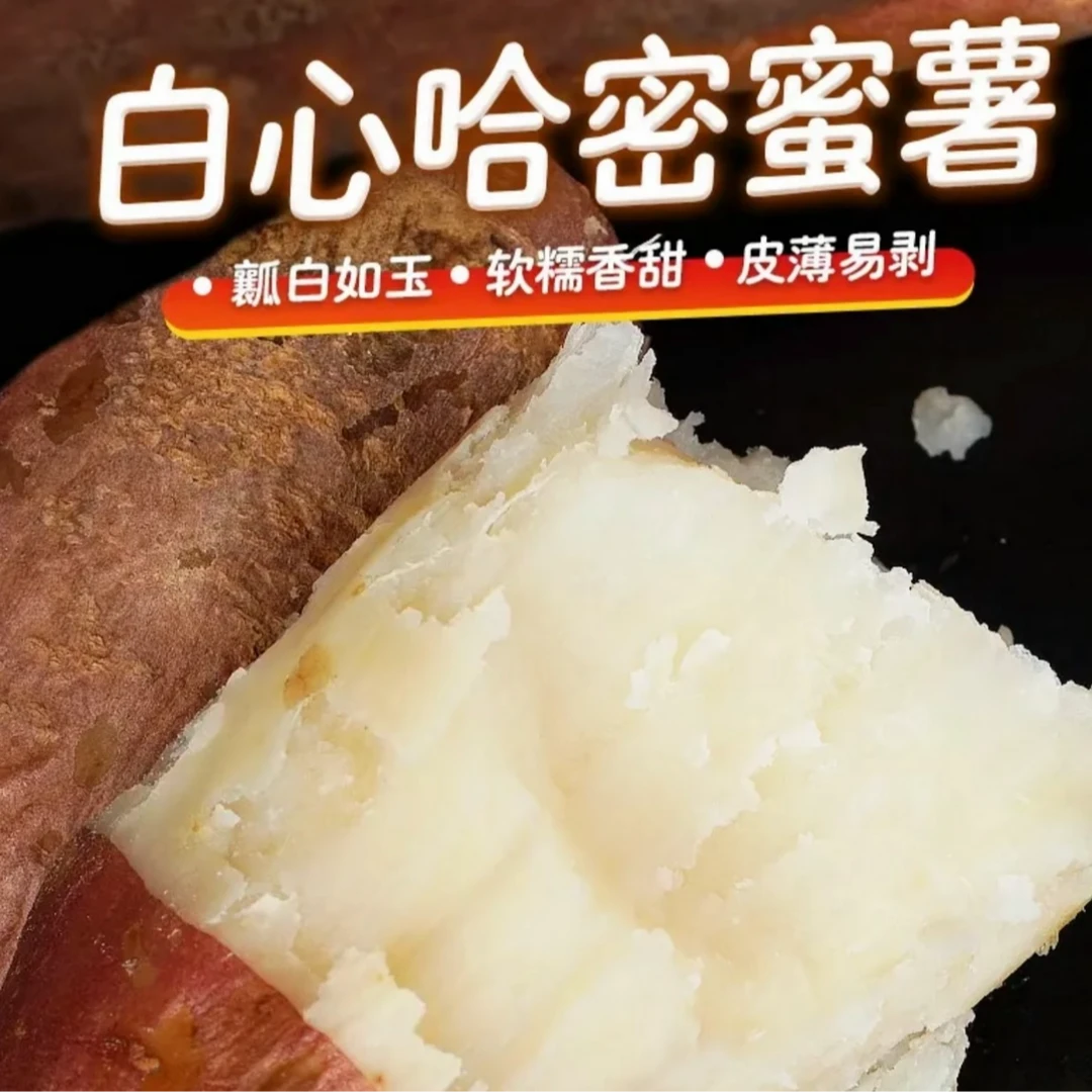 东北农村哈密冰糖蜜薯现挖现发
