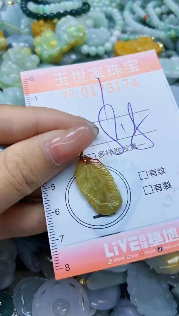 【闪购商品】翡翠颈饰未镶嵌闪购0173174