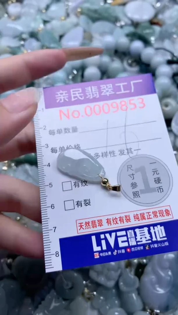 翡翠未镶嵌吊坠(不含链)9853