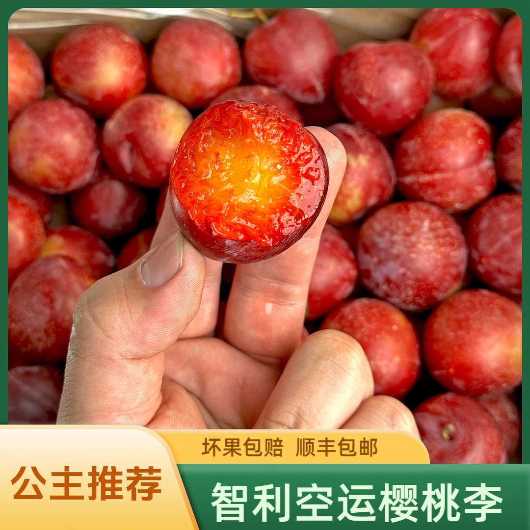 【顺丰包邮】智利樱桃李子新鲜红李香甜水果3-4J大果樱桃李