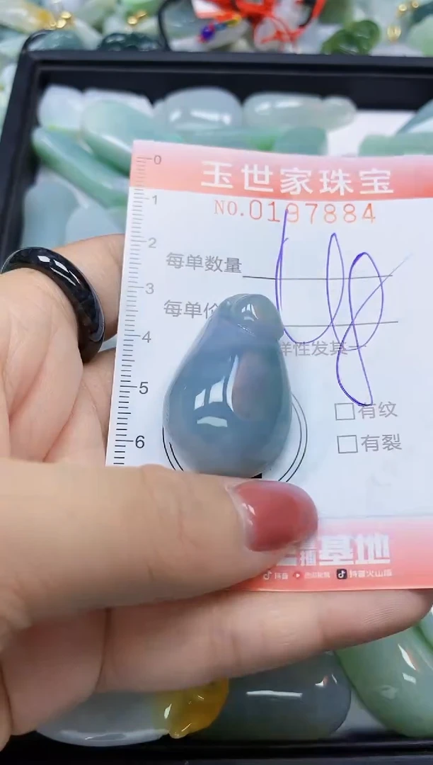 【闪购商品】翡翠颈饰未镶嵌闪购0197884