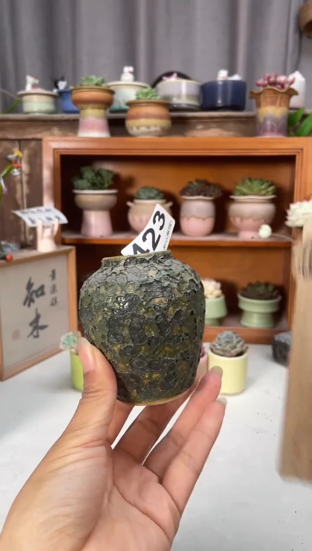 瓷片423小芳直播编号