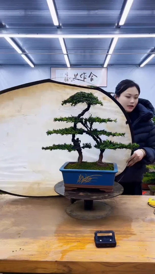 无花朵一物一拍·所见即所得