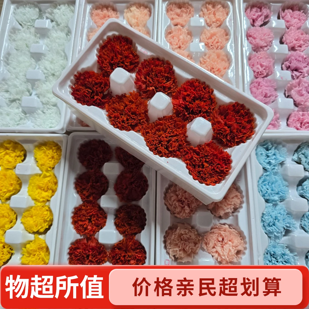 永生花花头DIY材料康乃馨花头系列批发玫瑰永生玫瑰花干花红色