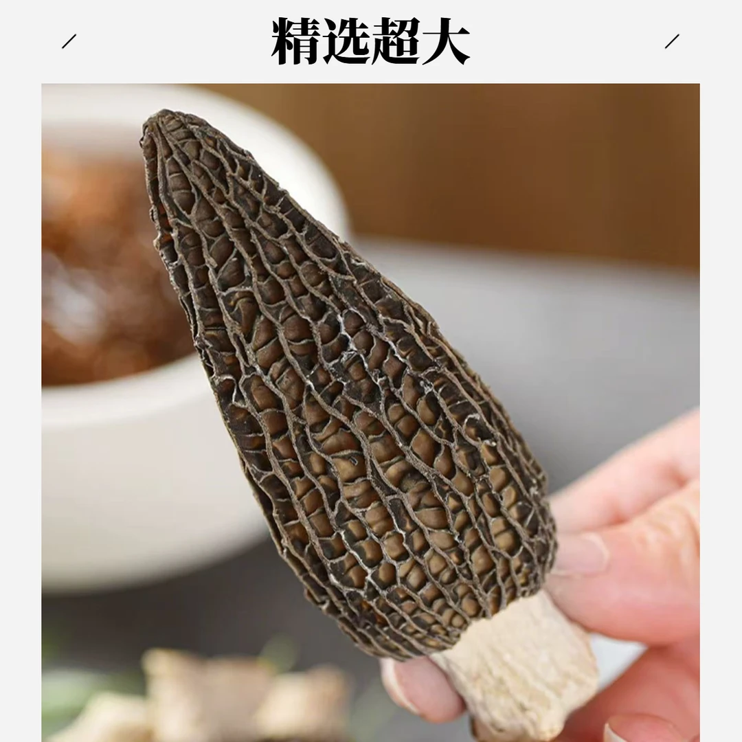 【苗乡绿源】沅陵头茬精品羊肚菌超大个肉厚肥美干货煲汤包8-11