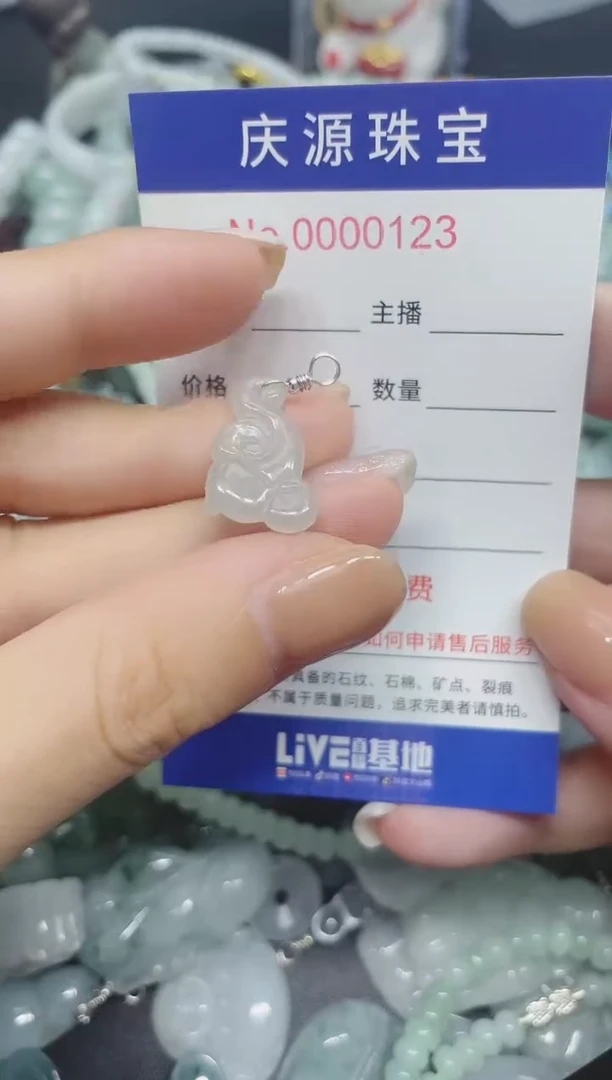 翡翠未镶嵌颈饰3456