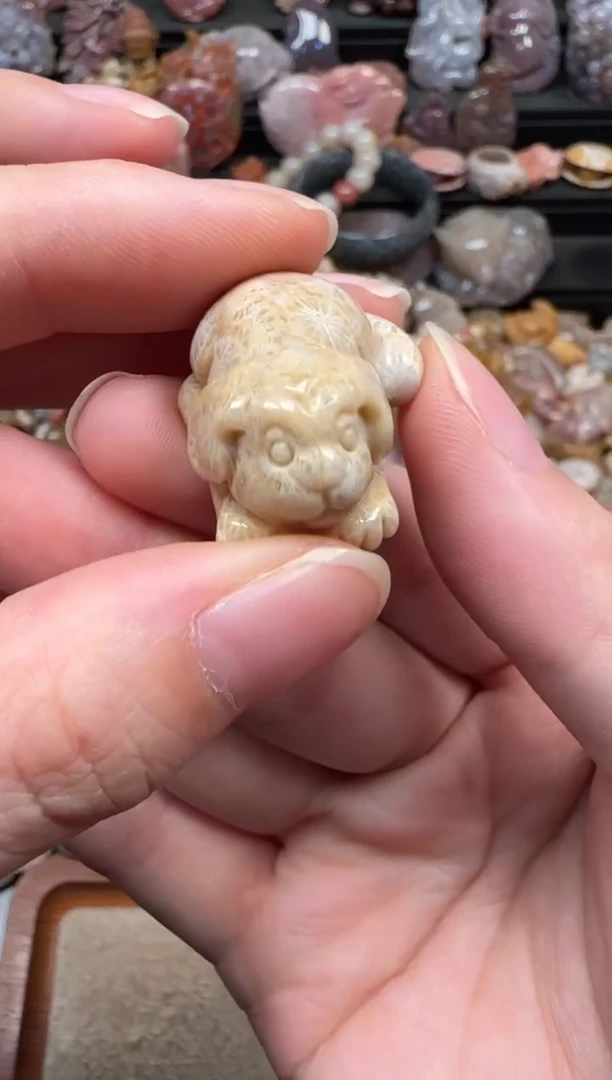 颈饰未镶嵌硅化珊瑚（珊瑚玉）050