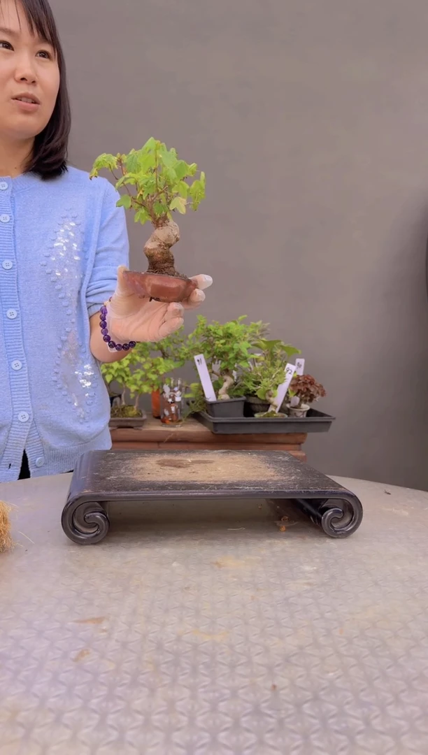 94   运费顺丰到付