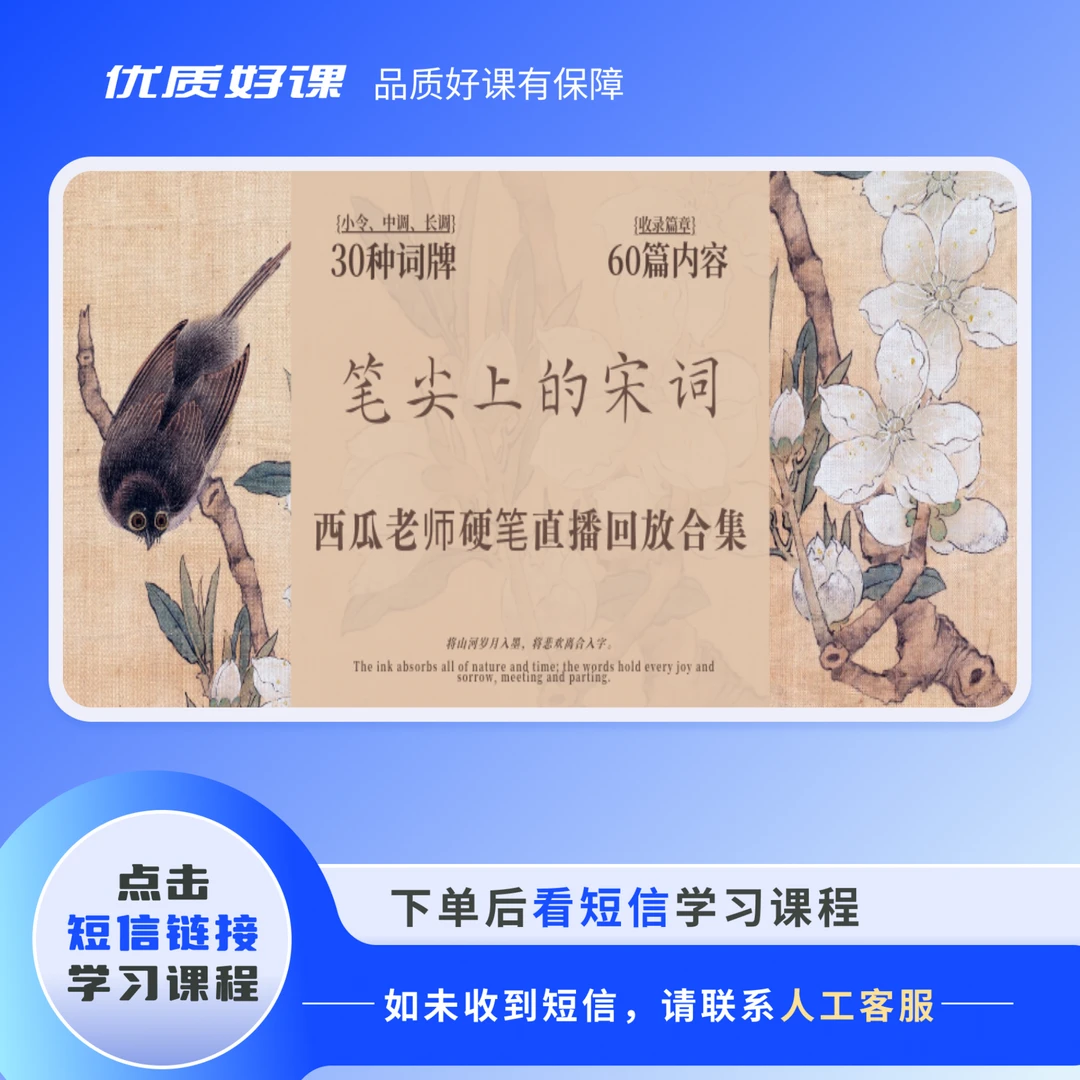 【苹果专拍无点评】《笔尖上的宋词》西瓜老师硬笔直播回放合集