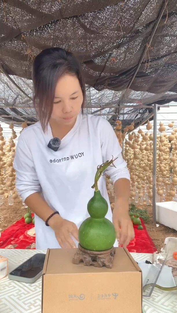 025天然葫芦摆件 一物一拍