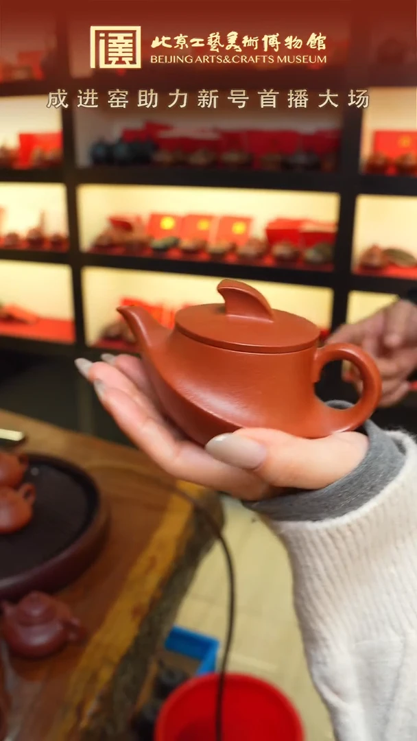 茶壶紫砂宜兴紫砂 107 傲娇一帆风顺