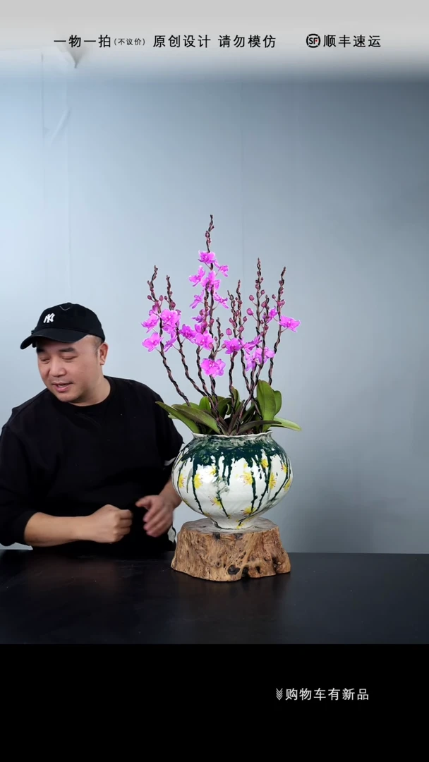 【闪购商品】088号链接【一物一拍】艺术盆景