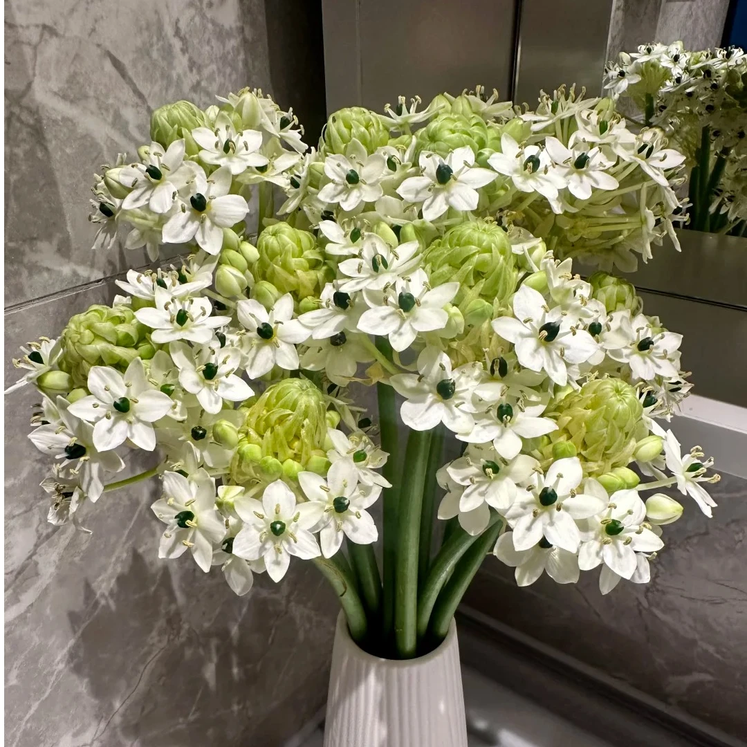 【天鹅绒10支】鲜花次日达批发直播品质鲜花 全场任意满两单顺丰包邮