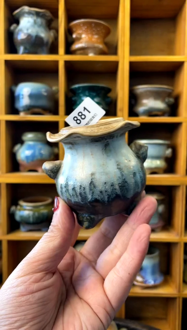 【闪购商品】陶881