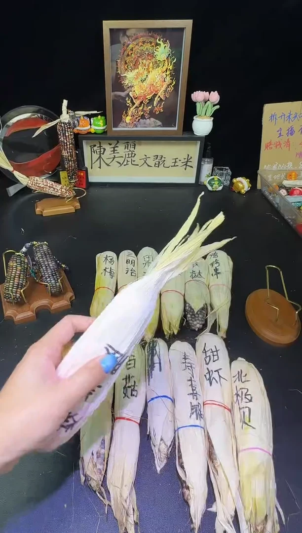 清*哈哈哈红红火火恍恍惚惚