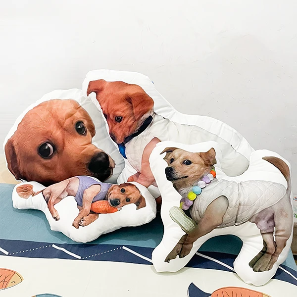 【许馍馍周边抱枕】宠物diy照片定制无边可爱靠垫小抱枕 送朋友礼物