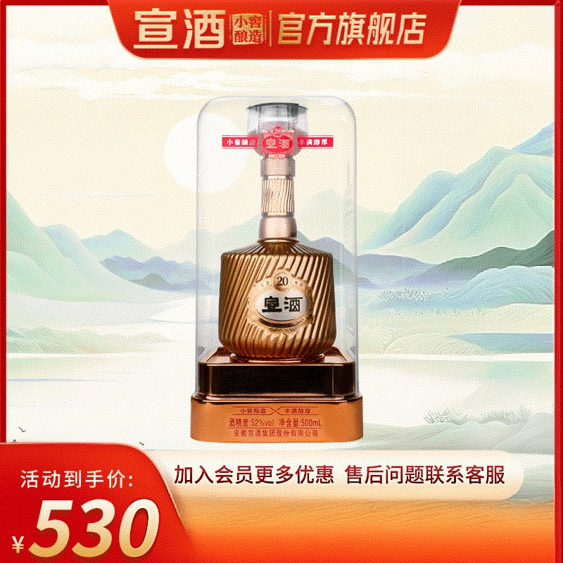 宣酒20 JN【何老师专属】宣酒20高端宴请送礼酒浓芝兼香型52度500ml