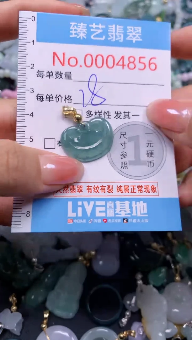 颈饰未镶嵌翡翠4856