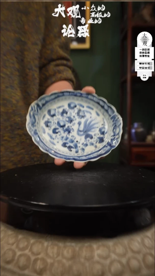 【闪购商品】瓷片大观论器盘子