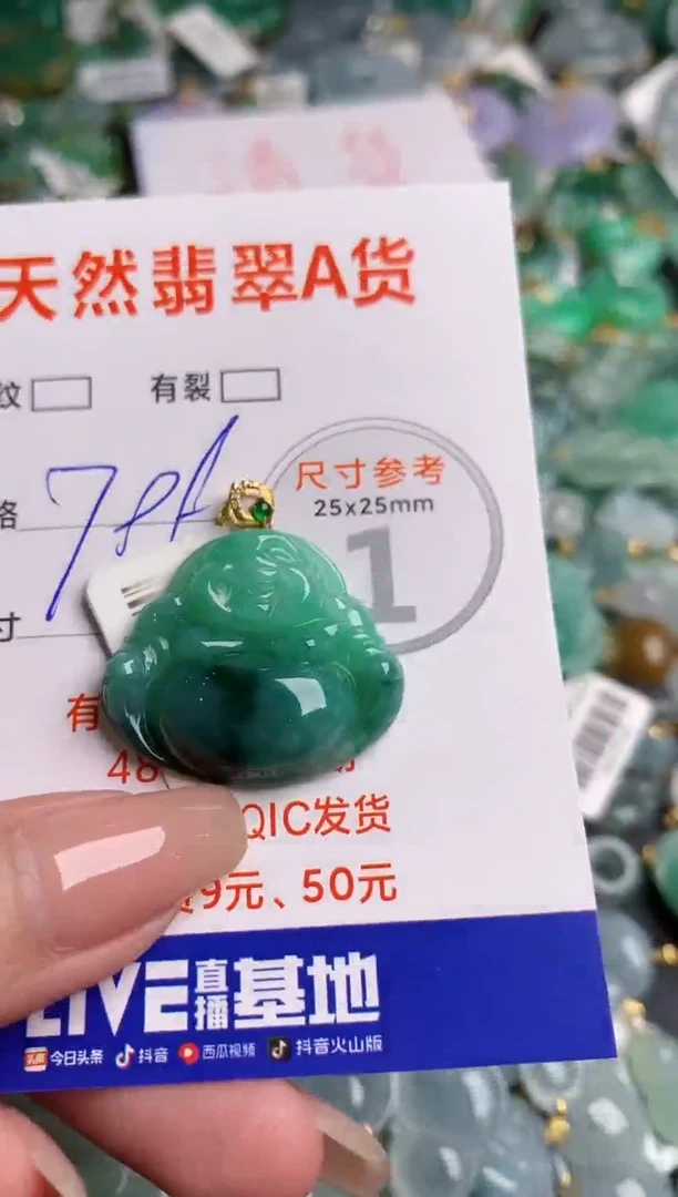 翡翠18K金镶嵌颈饰0918504630