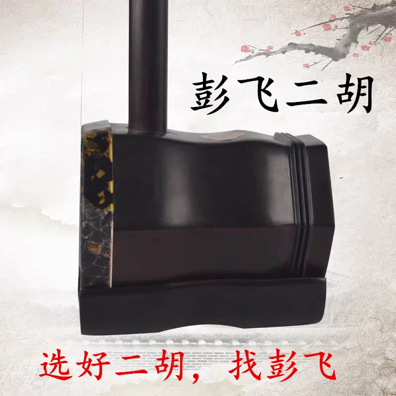 彭飞二胡精品黑檀专业演奏黑檀木苏州二胡红木儿童成人通用