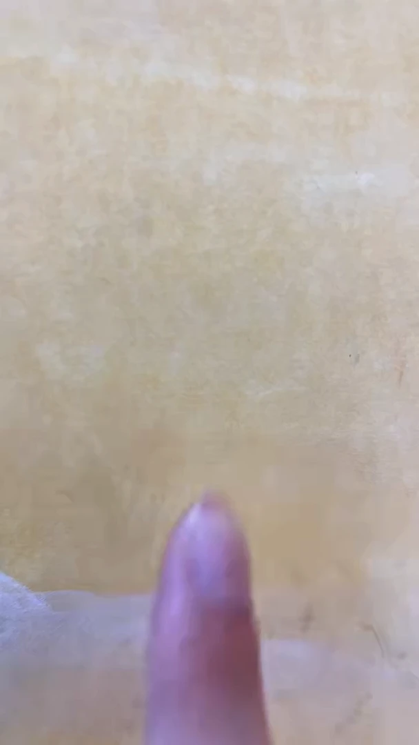 国画郑乐华手绘绘画作品24-18