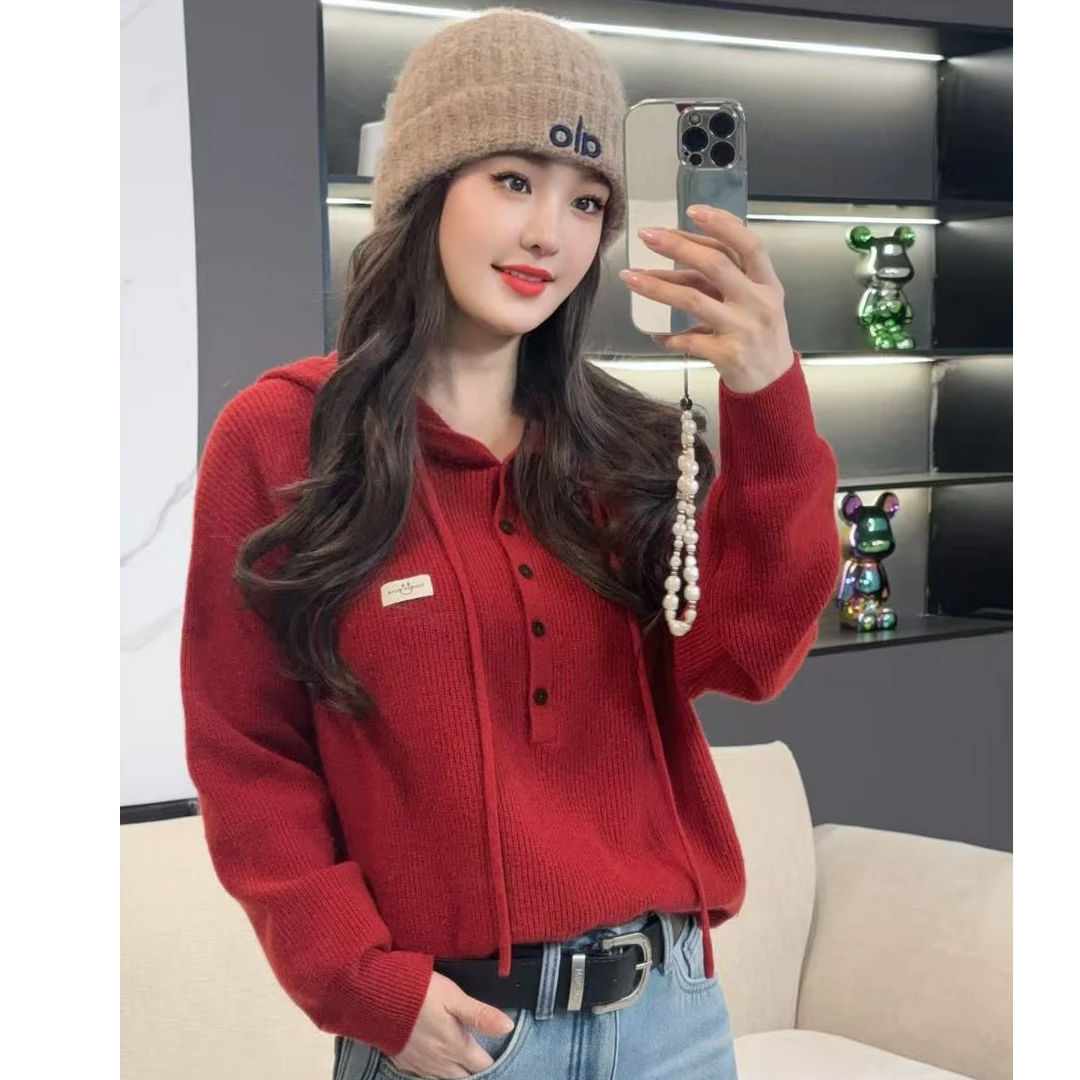 【云栖浅黛】2025秋季新款时尚休闲百搭毛衣帽衫H5683