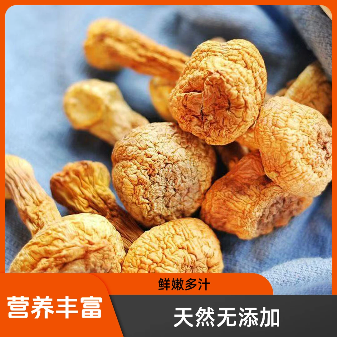 当季新货姬松茸干货食用甄选煲汤蘑菇菌菇
