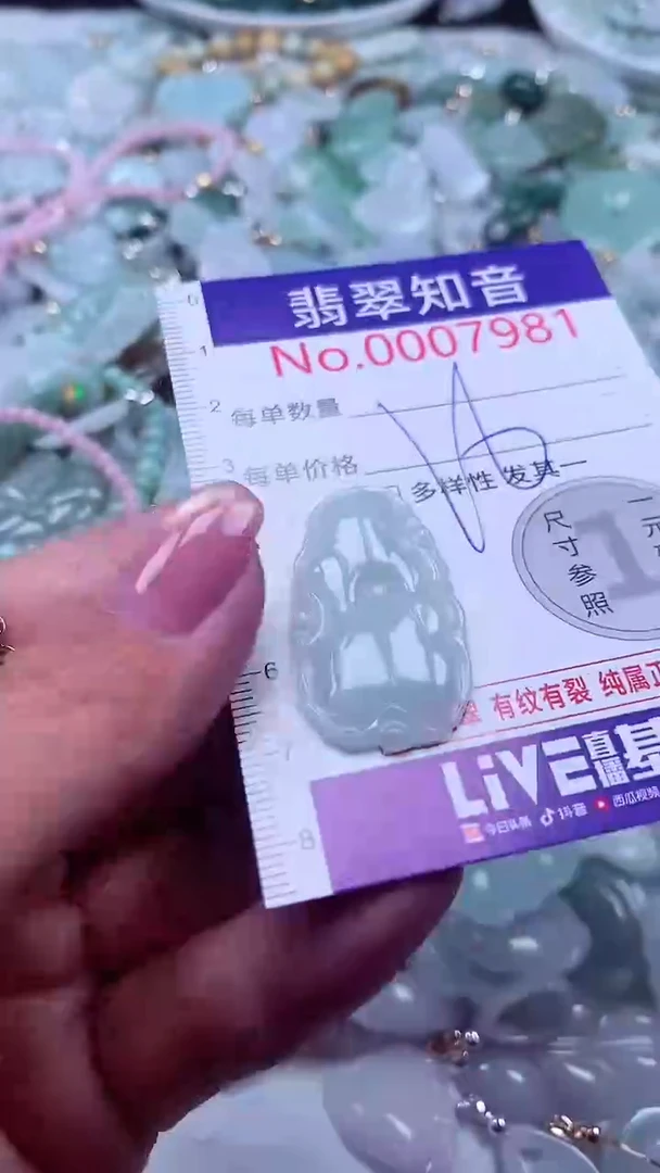 颈饰未镶嵌翡翠7981