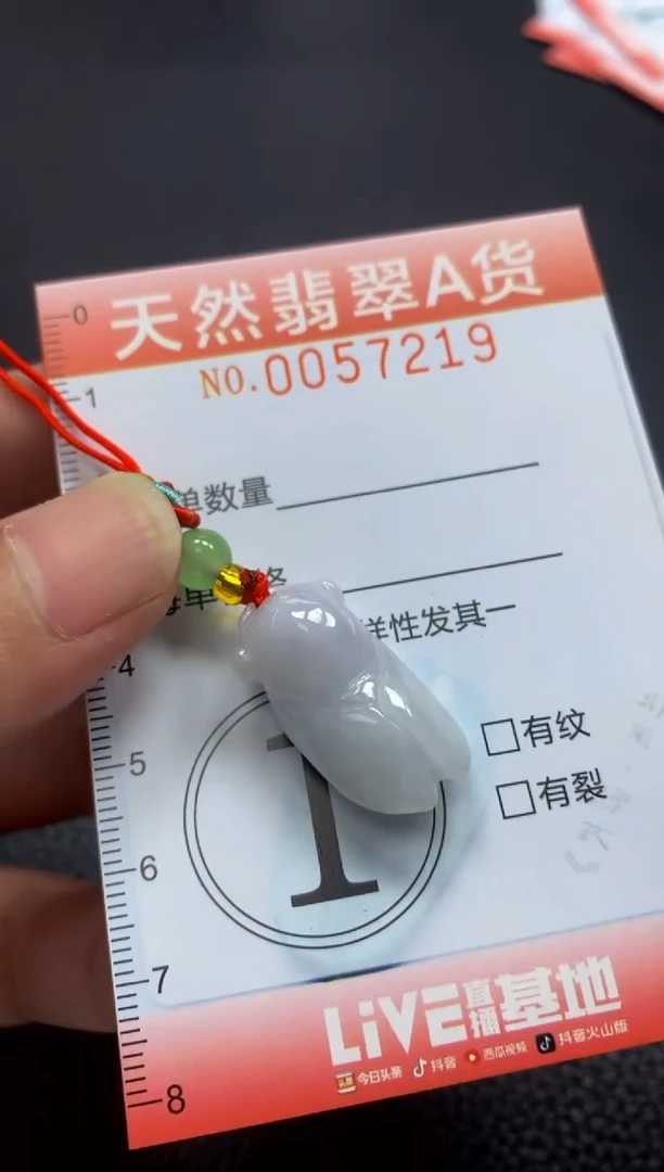 翡翠未镶嵌颈饰闪购0057219